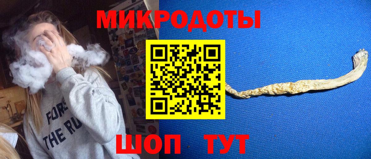 Галлюциногенные грибы Cubensis Гусиноозёрск