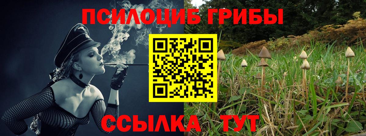 Псилоцибиновые грибы Cubensis  Гусиноозёрск  Псилоцибиновые грибы мицелий 