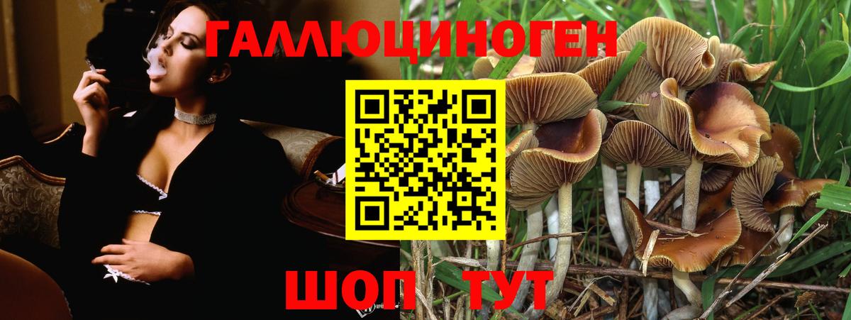 Гусиноозёрск  A PVP СК   Канабис  Кокаин  Меф   Вход с VPN  ГАШ 